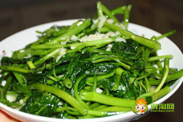 秋天为什么要少吃空心菜,这些人最好不要再吃空心菜啦!