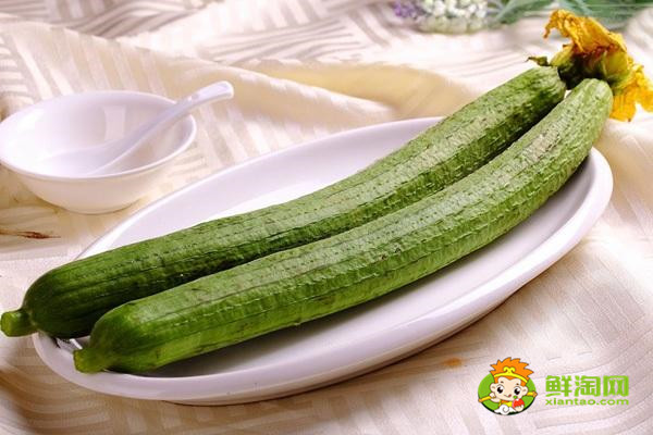 秋天的丝瓜为什么不能吃,丝瓜这样千万别吃
