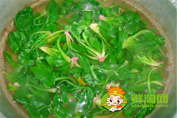 菠菜用开水烫一下能吃吗，每天吃菠菜对身体好吗