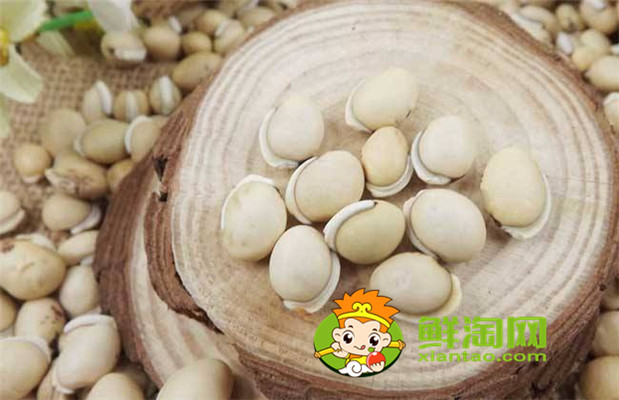 哪里出产的白扁豆最好,白扁豆怎么吃才祛湿