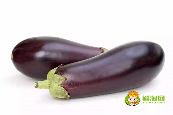 茄子是什么时候传入中国的,原来早在这个时候就有茄子了