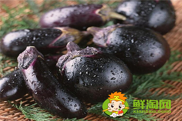 茄子可以放冰箱冷藏吗,茄子放冰箱变黑能吃吗