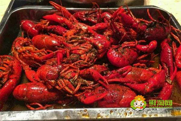 啤酒煮小龙虾算酒驾吗,查出酒驾可不要让小龙虾背锅