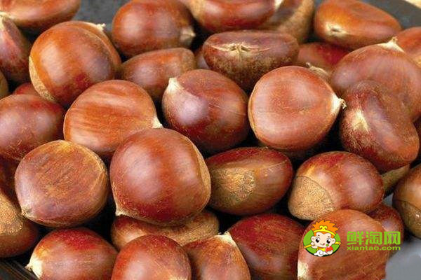 板栗怎么保存不会坏,原来板栗还可以这么保存