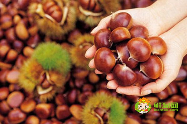 板栗怎么去皮板栗怎么煮多少时间,这么做好剥又好吃