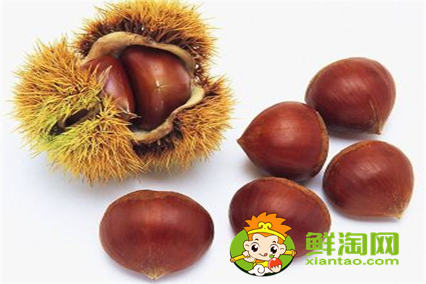 吃栗子不能吃什么东西,正宗板栗烧鸡的做法