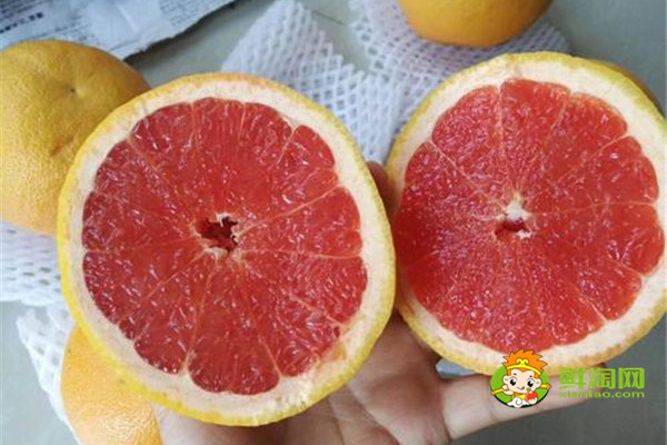 葡萄柚是西柚吗,西柚和葡萄柚两者区别非常明显