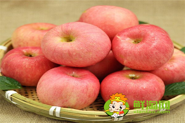 冬季苹果储存方法,海棠果是苹果吗