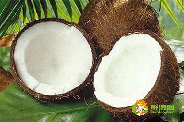 椰子是什么季节成熟,椰子是夏季常见的水果