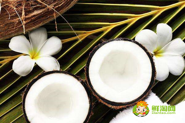 海南椰子和泰国椰子的区别,椰子什么时候成熟