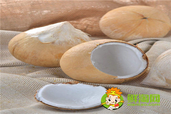 海南冬天有椰子吗,哪种椰子最好喝