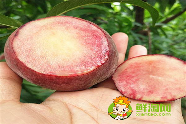 冬桃什么时候成熟,常吃冬桃有哪些好处