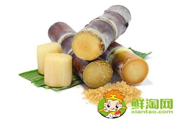 糖尿病人可以吃甘蔗吗,为什么霉变的甘蔗不能吃