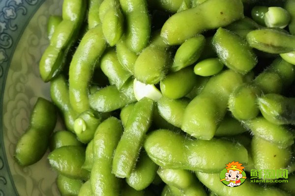 毛豆是什么豆,毛豆是菜用大豆