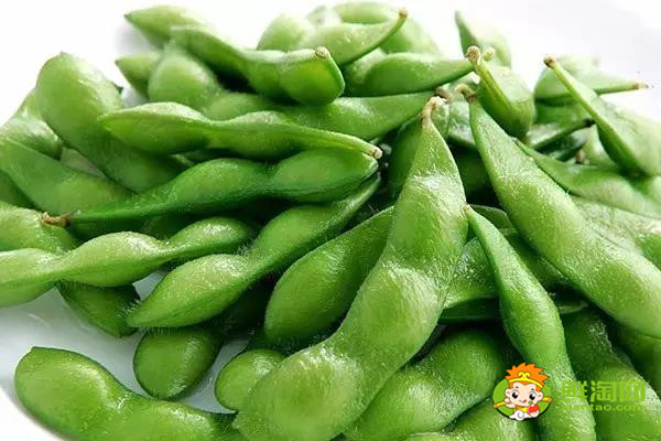 毛豆是什么豆,毛豆是菜用大豆