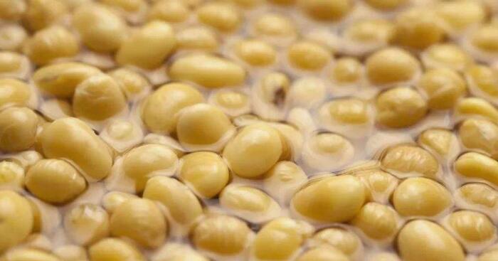 卤水豆腐脑制作方法,如何做卤水豆腐脑