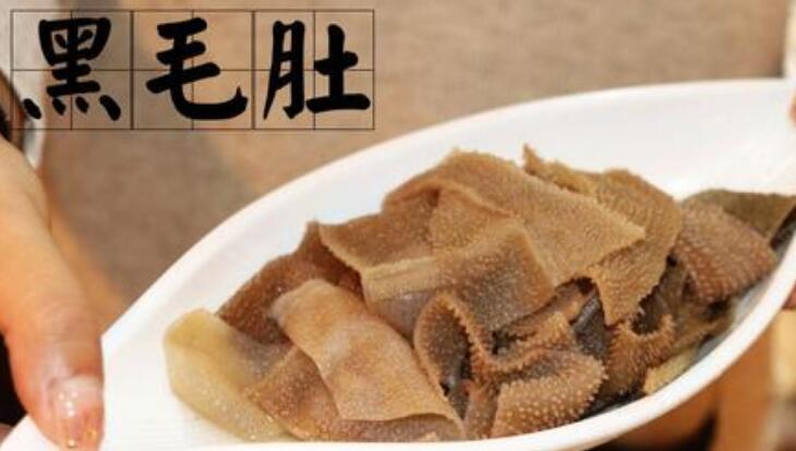 毛肚是什么动物身上的,如何鉴别毛肚的好坏