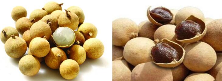 龙眼上火吗,龙眼和桂圆的区别