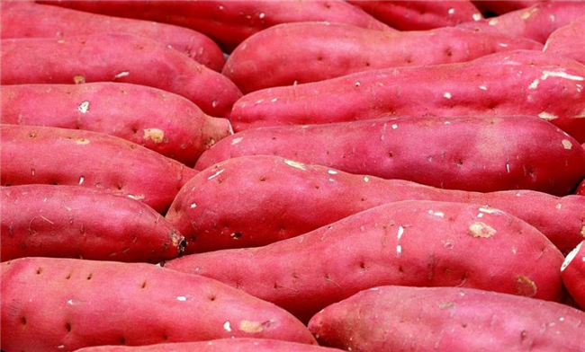 降脂最快的十种食物,脂肪最怕的十种蔬菜