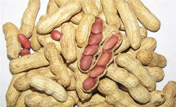 越吃子宫越干净的食物,想要子宫干净喝什么好