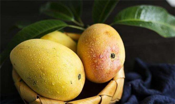 芒果怎么催熟的快,芒果怎么催熟又不烂方法