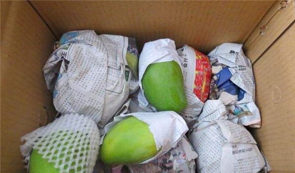 芒果怎么催熟的快,芒果怎么催熟又不烂方法