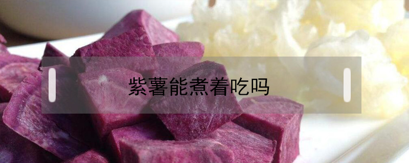 紫薯能煮着吃吗