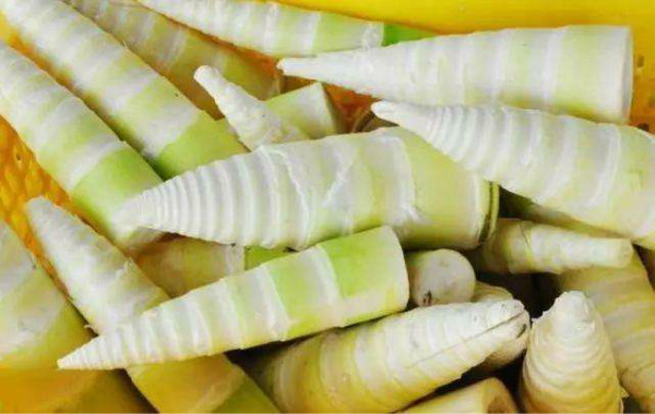 六种人不宜多吃竹笋，吃竹笋过敏的症状是什么样的