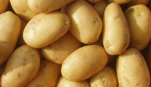 土豆不可以和什么一起吃，哪些人不适宜吃土豆