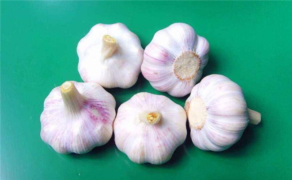 冬季养生必吃十种食物,冬天适合吃什么养生食物